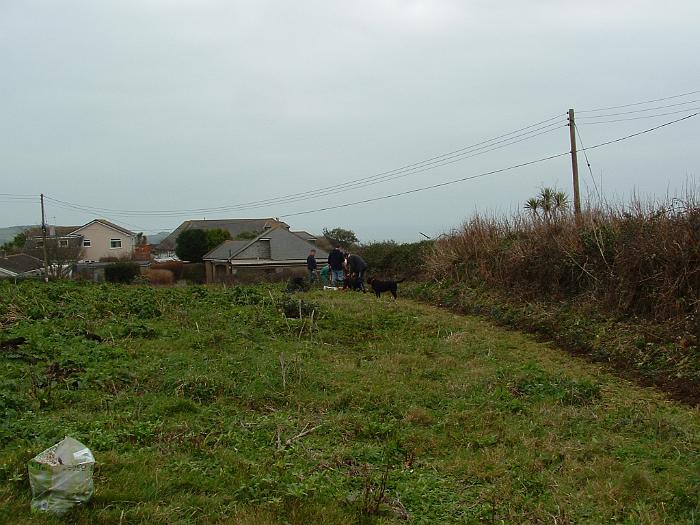 3 Planting Trees (4)